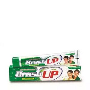 Brush Up Fresh Alpine Mint Toothpaste 100gm